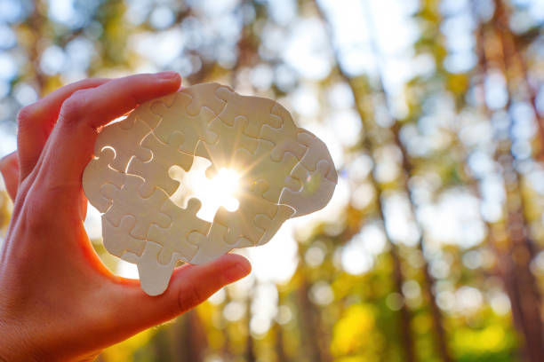 Morning Rituals That Boost Mental Health & Well-being